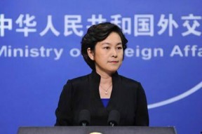 娱乐吃瓜酱外交部,娱乐吃瓜酱背后的外交风云